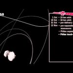 Rosetta: close orbits to lander deployment (annotated)