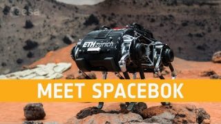 Meet SpaceBok