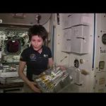 Space food and the good side of lipid fat