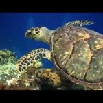 NASA Celebrates Earth Day