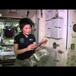 Il buono dei lipidi nel menu della Stazione Spaziale Internazionale