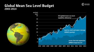 Contributors to sea-level rise