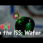 Paxi on the ISS: Recycling air and water
