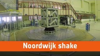 Noordwijk shake