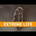 Meet the Experts: Extreme life