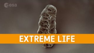 Meet the Experts: Extreme life