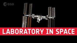 Meet the Experts: Laboratory in Space
