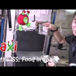 Paxi on the ISS: Food in space