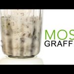 Moss Graffiti – Sick Science! #100