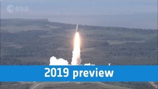 2019 preview