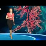 Earth from Space: Mississippi River Delta