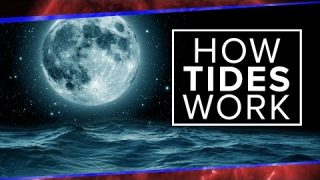 What Physics Teachers Get Wrong About Tides! | Space Time | PBS Digital Studios