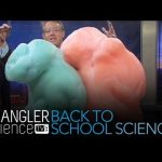 Back to School Science Elephant’s Toothpaste – Cool Science Experiment