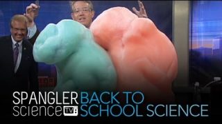 Back to School Science Elephant’s Toothpaste – Cool Science Experiment