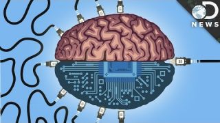 Could We Upload Our Consciousness To A Computer?
