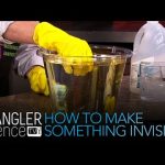 How To Make Something Invisible – Cool Science Experiment