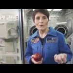 Avamposto42, si inizia