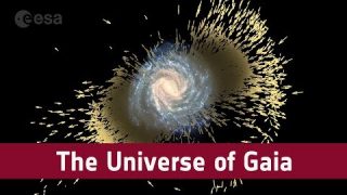The Universe of Gaia