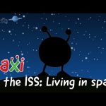 Paxi on the ISS: Living in space