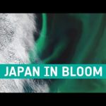Earth from Space: Japan in bloom