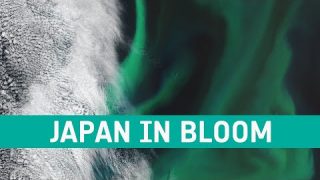 Earth from Space: Japan in bloom