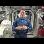 How do you feel after the first few months in orbit?