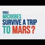 We Asked a NASA Scientist: Could Microbes Survive a Trip to Mars?