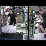 Space Station fitness