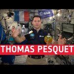 Thomas Pesquet: Biography and training