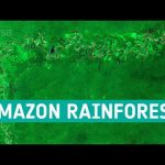 Earth from Space: Amazon rainforest, Brazil