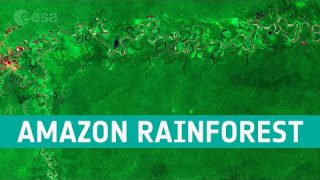 Earth from Space: Amazon rainforest, Brazil