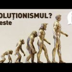 #2i 📘 Ce este evoluționismul? Ep.31 Invitat: Alexandru Stermin