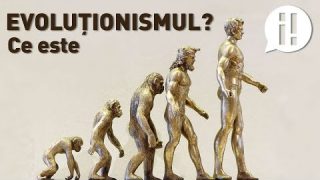 #2i​ 📘 Ce este evoluționismul? Ep.31 Invitat: Alexandru Stermin