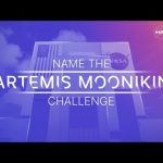 Name the Artemis Moonikin