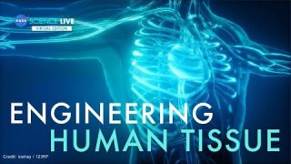 NASA Science Live: Engineering Human Tissue