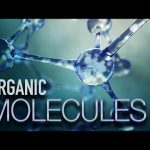 What You Need to Know About Organic Molecules