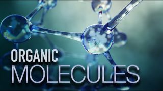 What You Need to Know About Organic Molecules