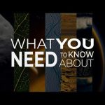 What You Need to Know from NASA
