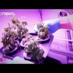 ESA Euronews: Mezőgazdaság az űrben