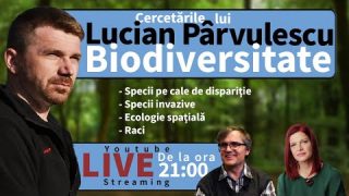 Deschis la cercetare: Biodiversitate cu Lucian Pârvulescu