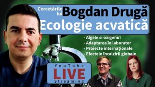 Deschis la cercetare: Ecologie acvatică alături de Bogdan Drugă