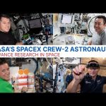 NASA’s SpaceX Crew-2 Astronauts Advance Research in Space