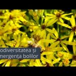 Arhivele viitorului – ep. 12: Biodiversitatea și emergența bolilor