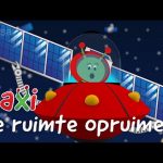 Paxi en de ruimte opruimen