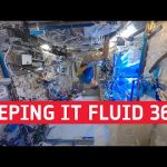 Keeping it fluid(ics) | Cosmic Kiss 360°