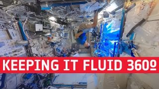 Keeping it fluid(ics) | Cosmic Kiss 360°