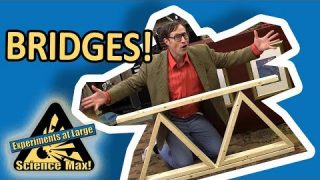 💡Science Max – BRIDGES MADE FROM SUGAR! – Home Experiments🔍