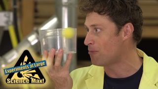 Science Max | FULL EPISODE | All About Balance | Season 1