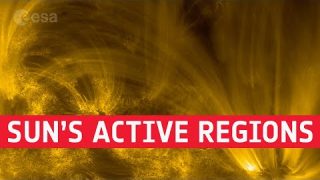 The Sun’s active regions: coronal rain and solar moss