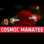 Cosmic manatee accelerates particles from head #shorts